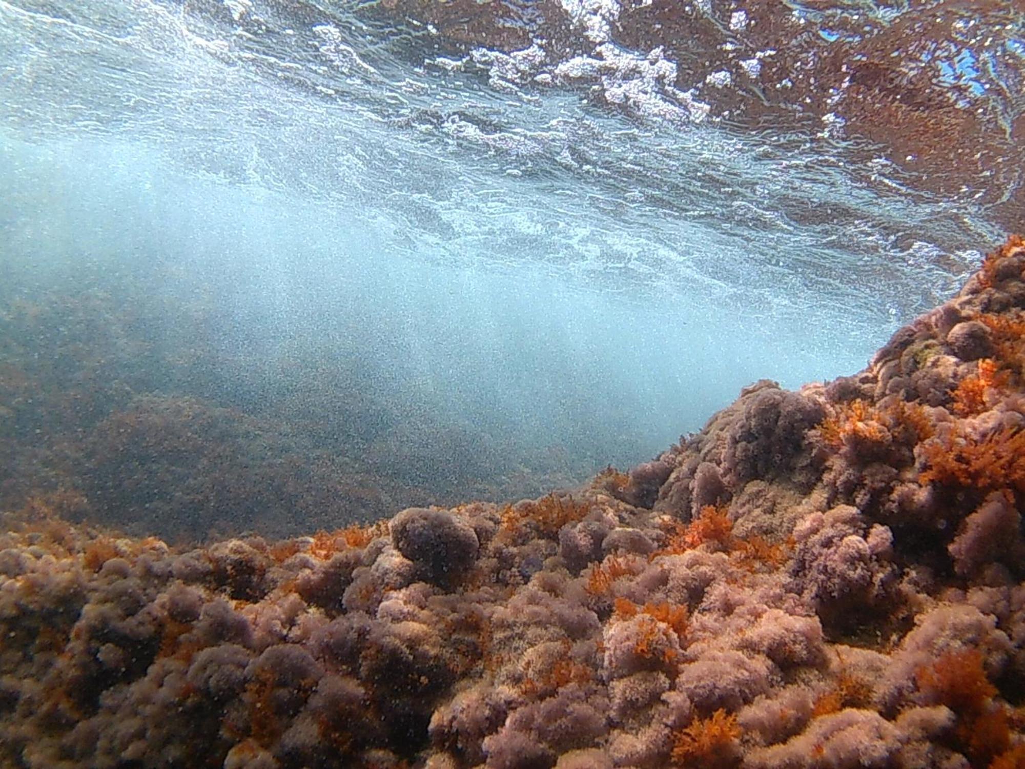 Bilocale Panoramico “Lo Sguardo” Lejlighed Massa Lubrense Eksteriør billede
